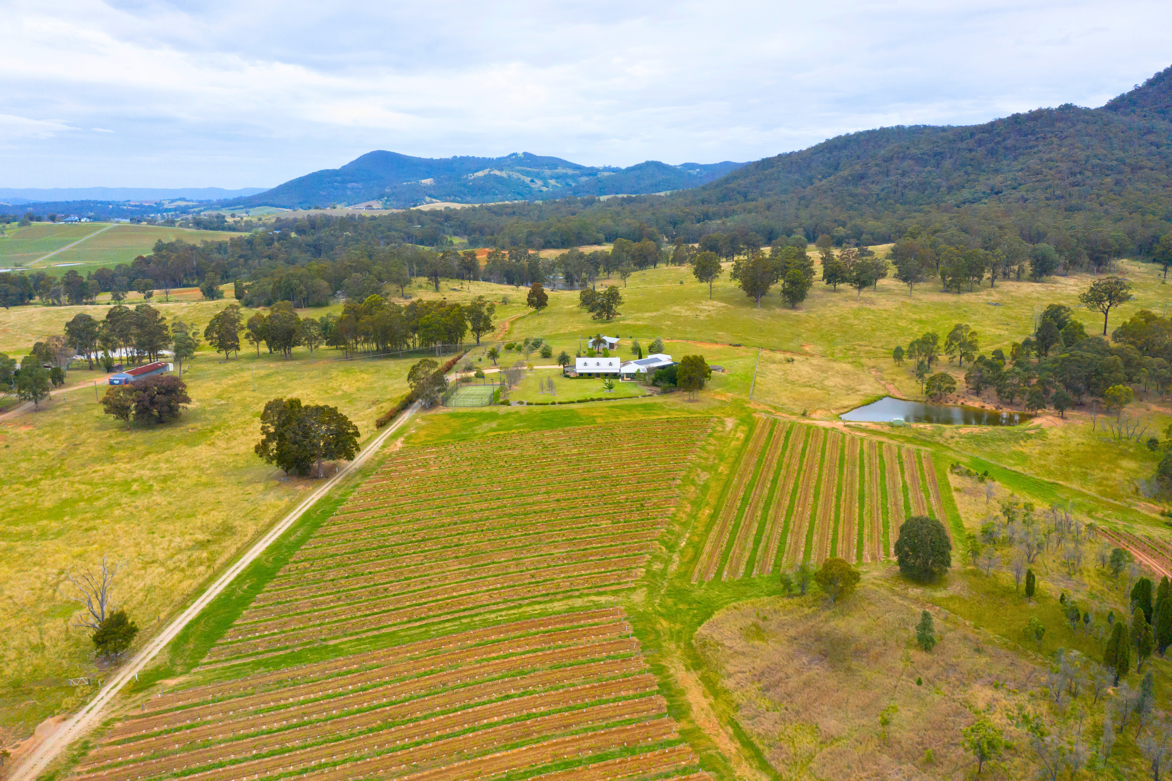 hunter valley region, new south wales (4).webp